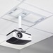 Chief CMS491CP2 Ceiling Mount for Projector - White - TAA Compliant - 99.21 lb Load Capacity