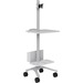 Anthro Zido Computer Cart Package - 118 lb Capacity - 4 Casters - 4" Caster Size - Medium Density Fiberboard (MDF), Cast Metal - x 25" Width x 24.5" Depth x 66.5" Height - Steel Frame - Cool Gray - 6 Box