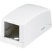 Panduit Mini-Com CBX1WH-A Mounting Box for Network Module - White - 1