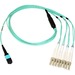 Axiom MPO Female to 4 LC Multimode OM4 50/125 Fiber Optic Breakout Cable - 1m - 3.28 ft Fiber Optic Network Cable for Network Device - First End: 1 x MPO Network - Female - Second End: 4 x LC Network - Male - 50/125 µm - Aqua
