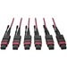 Tripp Lite by Eaton MTP/MPO Multimode Base-8 Trunk Cable, 24-Strand, 40GB/100GB, 40/100GBASE-SR4, OM4 Plenum-Rated (3xF/3xF), Push/Pull Tab, Magenta, 11 m (36 ft.) - Fiber Optic for Network Device - 12.50 GB/s - 36.09 ft - 3 x MTP/MPO Female Network - 3 x
