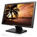 Lenovo ThinkVision LT2024 20" Class HD+ LCD Monitor - 16:9 - Black