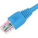 B+B SmartWorx Cat.5e Network Cable - 7 ft Category 5e Network Cable for Network Device - First End: 1 x RJ-45 Network - Male - Second End: 1 x RJ-45 Network - Male - Blue - 1