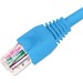 B+B SmartWorx C6UMB3FBL Cat.6 UTP Network Cable - 3 ft Category 6 Network Cable for Network Device - First End: 1 x RJ-45 Network - Male - Second End: 1 x RJ-45 Network - Male - Blue