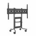 Avteq RPS-500 Display Cart - 250 lb Capacity - 62" Width x 26" Depth Height - For 1 Devices