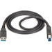 Black Box USB 3.0 Cable - Type A Male to Type B Male, Black, 10-ft. (3.0-m) - 10 ft USB/USB-B Data Transfer Cable for Dock, Notebook, Multimedia Device, Hard Drive - First End: 1 x USB 3.0 Type A - Male - Second End: 1 x USB 3.0 Type B - Male - 4.8 Gbit/s
