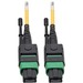 Eaton Tripp Lite Series MTP/MPO (APC) Singlemode Patch Cable (F/F), 12 Fiber, 40/100 GbE, QSFP+ 40GBASE-PLR4, Plenum, Push/Pull Tab, Yellow, 1 m (3.3 ft.) - Fiber Optic for Network Device, Switch, Hub, Router, Patch Panel - 12.50 GB/s - Patch Cable - 3.28