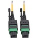 Eaton Tripp Lite Series MTP/MPO (APC) Singlemode Patch Cable (F/F), 12 Fiber, 40/100 GbE, QSFP+ 40GBASE-PLR4, Plenum, Push/Pull Tab, Yellow, 2 m (6.6 ft.) - Fiber Optic for Network Device, Switch, Hub, Router, Patch Panel - 12.50 GB/s - Patch Cable - 6.56