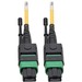 Eaton Tripp Lite Series MTP/MPO (APC) Singlemode Patch Cable (F/F), 12 Fiber, 40/100 GbE, QSFP+ 40GBASE-PLR4, Plenum, Push/Pull Tab, Yellow, 3 m (10 ft.) - Fiber Optic for Network Device, Switch, Hub, Router, Patch Panel - 12.50 GB/s - Patch Cable - 9.84 