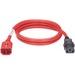 Panduit SmartZone Standard Power Cord - For PDU - 250 V AC / 10 A - Red - 2 ft Cord Length - IEC 60320 C13 / IEC 60320 C14 - 10