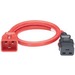 Panduit SmartZone Standard Power Cord - 250 V AC / 16 A - Red - 10 ft Cord Length - IEC-C20 / IEC-C19 - 10