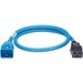 Panduit SmartZone Standard Power Cord - For PDU - 250 V AC / 16 A - Blue - 2 ft Cord Length - IEC 60320 C19 / IEC 60320 C20 - 10