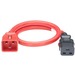 Panduit SmartZone Standard Power Cord - 250 V AC / 10 A - Red - 10 ft Cord Length - IEC-C14 / IEC-C13 - 10