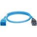 Panduit SmartZone Standard Power Cord - 250 V AC / 16 A - Blue - 10 ft Cord Length - IEC-C20 / IEC-C19 - 10