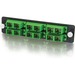 Quiktron Network Patch Panel - 12 Port(s) - 12 x Duplex - Black, Aqua - TAA Compliant