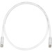 Panduit Cat.6 U/UTP Patch Network Cable - 13.12 ft Category 6 Network Cable for Network Device - First End: 1 x RJ-45 Network - Male - Second End: 1 x RJ-45 Network - Male - Patch Cable - 24 AWG - Clear, Off White - 1