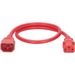 Panduit Standard Power Cord - For PDU, Rack Cabinet, Network Device - 250 V AC / 10 A - Red - 2 ft Cord Length - IEC 60320 C13 / IEC 60320 C14 - 10