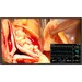 EIZO CuratOR LX491W-BK 48.5" Full HD LED LCD Monitor - 16:9 - Black - 1920 x 1080 - 16.8 Million Colors - 700 Nit - 8 ms - DVI - VGA
