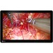 EIZO CuratOR EX2620-3D 26" Full HD LED LCD Monitor - 16:9 - Black, White - 1920 x 1080 - 1.07 Billion Colors - 580 Nit Typical - 18 ms - DVI - VGA