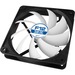 Arctic 3-Pin Fan with Standard Case - 4.72" Maximum Fan Diameter - 276.8 gal/min Maximum Airflow - 800 rpm - Fluid Dynamic Bearing - 3-pin - Case