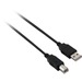 V7 Black USB Cable USB 2.0 A Male to USB 2.0 B Male 2m 6.6ft - 6.56 ft USB Data Transfer Cable for Computer, Peripheral Device, Digital Camera, Printer, Scanner, Media Player, External Hard Drive, Flash Drive, Network Adapter - First End: 1 x USB 2.0 Type
