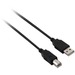 V7 Black USB Cable USB 2.0 A Male to USB 2.0 B Male 5m 16.4ft - 16.40 ft USB Data Transfer Cable for Peripheral Device, Digital Camera, Printer, Scanner, Media Player, External Hard Drive, Flash Drive, Network Adapter - First End: 1 x USB 2.0 Type A - Mal