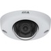 AXIS P3925-R HD Network Camera - 10 Pack - Dome - H.264, H.265, MJPEG - 1920 x 1080 Fixed Lens