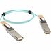 Black Box Fiber Optic Network Cable - 9.80 ft Fiber Optic Network Cable for Switch, Router, Server, Network Device - First End: 1 x QSFP28 Network - Male - Second End: 1 x QSFP28 Network - Male - 100 Gbit/s - LSZH - Aqua