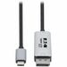 Eaton Tripp Lite Series USB-C to DisplayPort 1.4 Active Adapter Cable (M/M), UHD 8K, Black/Silver, 6 ft. (1.8 m) - 6 ft DisplayPort/USB-C A/V Cable for Audio/Video Device, Monitor, Projector, TV, Notebook, Tablet, Smartphone, MacBook Pro, Home Theater Sys