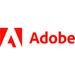 Adobe Robohelp Server for Enterprise - Enterprise Feature Restricted Licensing Subscription - 1 User - 1 Month - Price Level 4 - (100+) - Volume, Government - PC