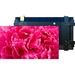 Planar HRO Complete HRO260 Digital Signage Display - 260" LCD - High Dynamic Range (HDR) - 3840 x 2160 - LED - 2160p