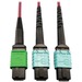 Eaton Tripp Lite Series 400G Multimode 50/125 OM4 Plenum Fiber Optic Cable, 16F MTP/MPO-APC to (x2) 12F MTP/MPO-UPC (F/F), Magenta, 1 m - 3.28 ft Fiber Optic Network Cable for Network Device, Transceiver, Network Switch, Patch Panel - First End: 1 x MTP/M