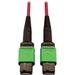 Eaton Tripp Lite Series 400G Multimode 50/125 OM4 Plenum-Rated Fiber Optic Cable, 16F MTP/MPO-APC (F/F), Magenta, 5 m - 16.40 ft Fiber Optic Network Cable for Network Device, Transceiver, Network Switch, Patch Panel - First End: 1 x MTP/MPO Female Network
