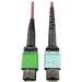 Eaton Tripp Lite Series 400G Multimode 50/125 OM4 Plenum Fiber Optic Cable, 16F MTP/MPO-APC to 24F MTP/MPO-UPC (F/F), Magenta, 5 m - 16.40 ft Fiber Optic Network Cable for Network Device, Transceiver, Network Switch, Patch Panel - First End: 1 x MTP/MPO F