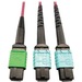 Eaton Tripp Lite Series 400G Multimode 50/125 OM4 Plenum Fiber Optic Cable, 16F MTP/MPO-APC to (x2) 12F MTP/MPO-UPC (F/F), Magenta, 5 m - 16.40 ft Fiber Optic Network Cable for Network Device, Transceiver, Network Switch, Patch Panel - First End: 1 x MTP/