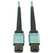 Eaton Tripp Lite Series 400G Multimode 50/125 OM4 Plenum-Rated Fiber Optic Cable, 24F MTP/MPO-PC (F/F), Aqua, 5 m - 16.40 ft Fiber Optic Network Cable for Network Device, Transceiver, Network Switch, Patch Panel - First End: 1 x MTP/MPO Female Network - S