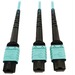 Eaton Tripp Lite Series 400G Multimode 50/125 OM4 Plenum Fiber Optic Cable, 24F MTP/MPO-PC to (x2) 12F MTP/MPO-PC (F/F), Aqua, 5 m - 16.40 ft Fiber Optic Network Cable for Network Device, Transceiver, Network Switch, Patch Panel - First End: 1 x MTP/MPO F