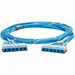 Panduit QuickNet Cat. 6a UTP Trunk Network Cable - 18 ft Category 6a Network Cable for Network Device, Patch Panel - First End: 1 x Rj-45 Cassette- Female - Second End: 1 x Rj-45 Cassette- Female - Trunk Cable - Riser - Blue