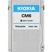KIOXIA CM6-R KCM61RUL960G 960 GB Solid State Drive - 2.5" Internal - U.3 (PCI Express NVMe 4.0 x4) - Read Intensive - 1 DWPD - 6900 MB/s Maximum Read Transfer Rate