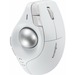 Kensington Pro Fit Ergo Trackball - Wireless - White - 9 Button(s)
