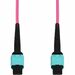 AddOn 1m MPO/UPC to MPO/UPC Magenta OM4 OFNP (Plenum-Rated) 12-Strand Fiber Patch Cable - 3.28 ft Fiber Optic Network Cable for Network Device - First End: 1 x MPO/UPC Network - Female - Second End: 1 x MPO Network - Female - 10 Gbit/s - Patch Cable - Ple