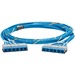 Panduit QuickNet™ - 10 ft Category 6 Network Cable for Network Device - First End: 1 x RJ-45 - Second End: 1 x RJ-45 Cassette - 10 Gbit/s - Trunk Cable - Riser - Blue - 1