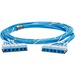 Panduit QuickNet Cat.6a UTP Trunk Network Cable - 46 ft Category 6a Network Cable for Network Device, Patch Panel - 10 Gbit/s - Trunk Cable - Riser - Blue