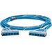Panduit QuickNet Cat.6a UTP Trunk Network Cable - 56 ft Category 6a Network Cable for Network Device, Patch Panel - First End: 6 x RJ-45 - Cassette - Second End: 6 x RJ-45 - Cassette - 10 Gbit/s - Trunk Cable - Riser - Blue