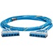 Panduit Category 6, UTP Riser Blue Cable with Blue Cassette to Blue Cassette - 55 ft Category 6 Network Cable for Network Device - First End: 6 x RJ-45 - Female - Second End: 6 x RJ-45 - Female - Trunk Cable - Riser - Blue