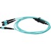 AddOn Fiber Optic Patch Network Cable - 98.43 ft Fiber Optic Network Cable for Network Device - First End: 4 x MPO-16 Network - Female - Second End: MPO Network - Female - 100 Gbit/s - Patch Cable - Riser, OFNR, OFNP - 50/125 &micro;m - Aqua - 1