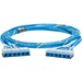 Panduit QuickNet Cat.6a UTP Trunk Network Cable - 54 ft Category 6a Network Cable for Network Device, Patch Panel - First End: 6 x RJ-45 - Male - Second End: Bare Wire - 10 Gbit/s - Patch Cable - Riser - Blue