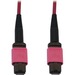Eaton Tripp Lite Series 100G Multimode 50/125 OM4 Fiber Optic Cable (12F MTP/MPO-PC F/F), LSZH, Magenta, 25 m (82 ft.) - 82.02 ft Fiber Optic Network Cable for Network Device, Patch Panel, Switch - First End: 1 x MTP/MPO Network - Female - Second End: 1 x