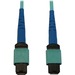 Eaton Tripp Lite Series 40/100/400G Multimode 50/125 OM3 Fiber Optic Cable (24F MTP/MPO-PC F/F), LSZH, Aqua, 5 m (16.4 ft.) - 16.40 ft Fiber Optic Network Cable for Network Device, Patch Panel, Switch - First End: 1 x MTP/MPO Network - Female - Second End