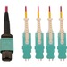 Eaton Tripp Lite Series 40/100/400G Multimode 50/125 OM4 Breakout Fiber Optic Cable (12F MTP/MPO-PC to 4x Duplex SN-PC F/M), LSZH, Magenta, 2 m (6.6 ft.) - 6.56 ft Fiber Optic Network Cable for Network Device, Patch Panel, Switch, Transceiver - First End: